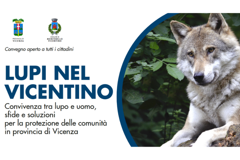 Convegno lupi