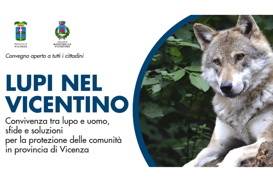 Convegno lupi