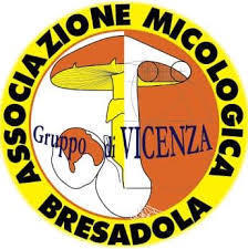 Gruppo di Vicenza Associazione Micologica Bresadola