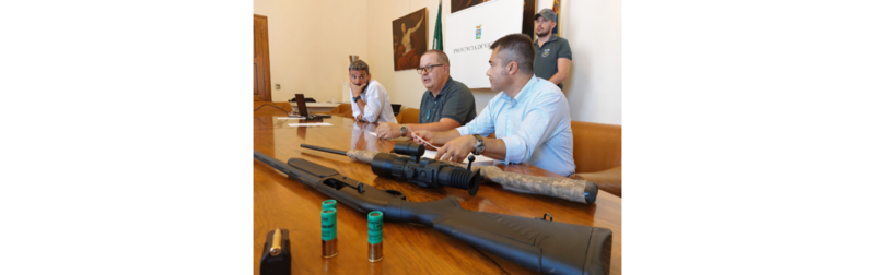 Nardin Mazzucco Veronese