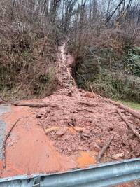 SP246 Recoaro frana Foto 5