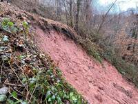 SP246 Recoaro frana Foto 7